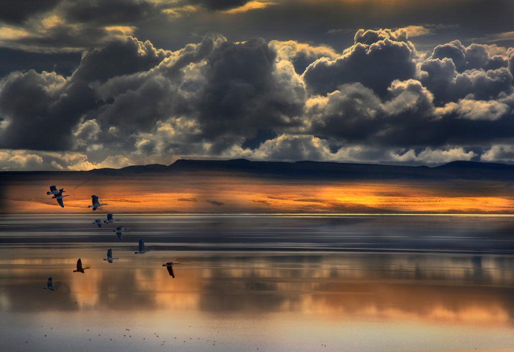 Peaceful Lake - Neal Thompson